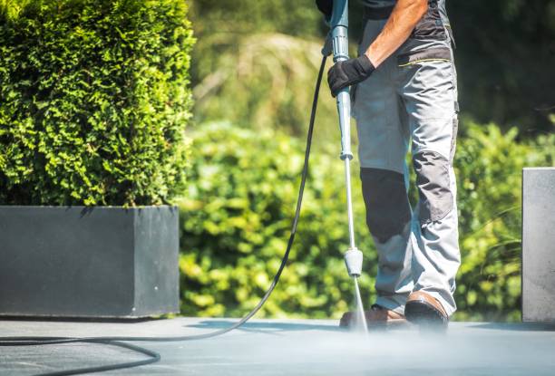 Best Patio and Deck Pressure Washing  in Stewartville, MN