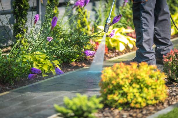 Best Animal Enclosure Cleaning  in Stewartville, MN