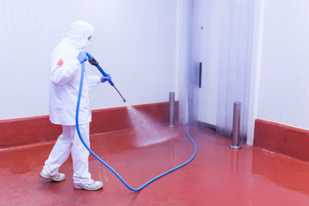 Best Gas Station Cleaning  in Stewartville, MN