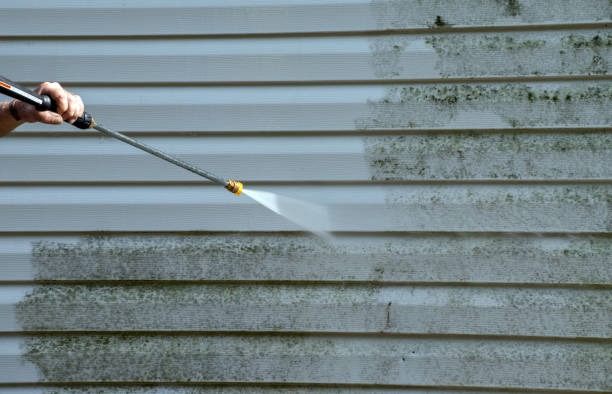 Best Factory Floor Cleaning  in Stewartville, MN